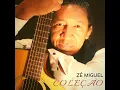 A Flor e o Beija-Flor