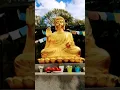 Download Lagu Om Mani Padme Hum  #shorts #ommanipadmehum #meditation