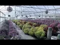 Plant Nursery Keeps Southeast Georgia Landscapes Beautiful