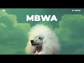 D Voice   Mbwa Official Lyric Audio