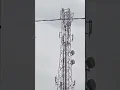 Download Lagu kejadian viral di bandung yang kalian tag di tiktok - Tower Viral Videoasli