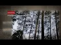 Download Lagu Indra Lesmana Legacy Concert | Orchid Forest | Cikole | Bandung | 18 September 2022