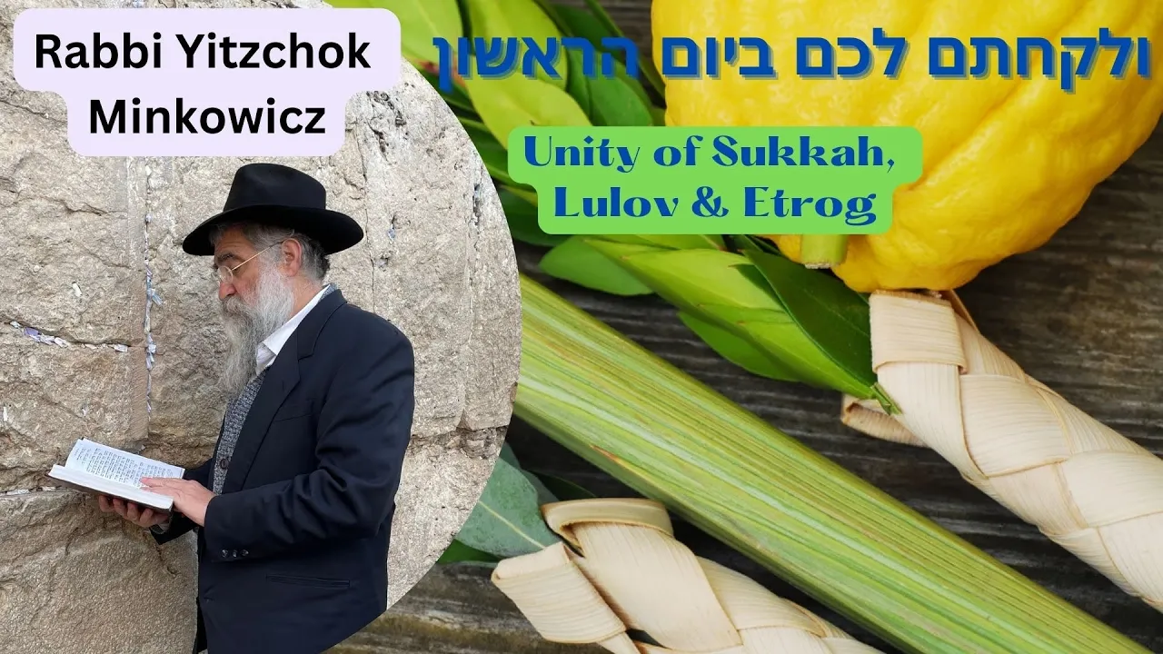 Artwork for podcast Chassidic Discourses - Mamarim by Rabbi Yitzchok Minkowicz