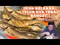 TERBATAS.. MAKAN IKAN DI SINI HARUS BOOKING DULU BIAR GAK KEABISAN!!