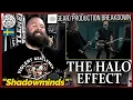 Download Lagu ROADIE REACTIONS | The Halo Effect - \
