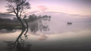 الشيخ القارئ ماهر المعيقلي سورة الصافات آية 22 