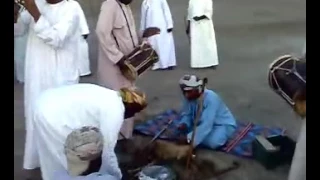 ليوا قديمة    الخضراء ولاية السويق دندنها
