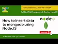 How to Insert data to mongodb using NodeJS