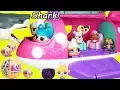 LOL SURPRISE Dolls Find Shark in Minnie Airplane Lil Brother Boy Unicorn Punk Boi Strange Ocean