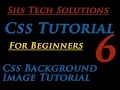 Css Tutorial for beginners - 06