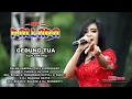 Download Lagu GOYANG HEBOH!! ELIS SANTIKA - GEDUNG TUA