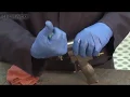 Channel