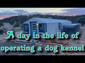Dog boarding business from home A day in the life