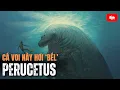 Download Lagu Perucetus: Cá voi này hơi \