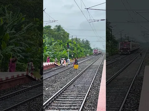 Pink Emu Entering Railgate #shorts