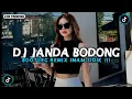 Download Lagu DJ JANDA BODONG BOOTLEG REMIX IMAM SIDIK VIRAL TIKTOK TERBARU 2025 