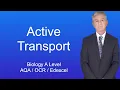 A Level Biology Revision Active Transport