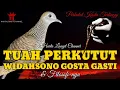 Download Lagu Ciri \u0026 Mitos Perkutut Widahsana Gasta Gasti ( WGG )