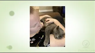 Gertrude s Happy Tail