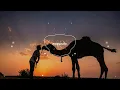 Feathered Sun - Bulbo (Original Mix) | New Desert House | exquisite.