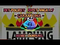 Lagu PET POLIPET PIPET ANGKA 7 - GARAM CINA [REMIX LAMPUNG] TERBARU 2020!!!!