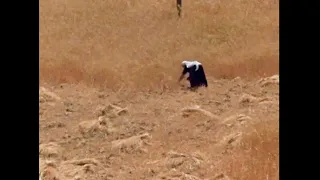                          شمالي                        دندنها