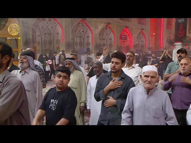 ⁣مجالس العزاء | الرادود علي المعمار (28) ذي القعدة 1446 هـ