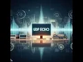 Creating a UDP Client-Server Echo Program A Simple Network Application Tutorial in Tamil