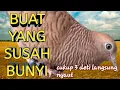 Download Lagu Perkutut lokal gacor buat yang susah bunyi