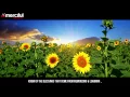 Download Lagu Blessed Be Your Efforts   Nasheed By Muhammad Al Muqit
