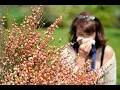 Allergy forecast What to expect from a heightened allergy season