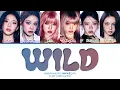 BABYMONSTER WILD Lyrics (Color Coded Lyrics)