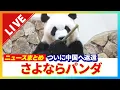 Download Lagu 【LIVE】「涙を必死にこらえた」名残りを惜しむファン　パンダ４頭が中国へ返還　関西空港から飛び立つ