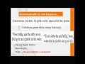 Generative Grammar