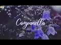 Campanella – Kenshi Yonezu | カムパネルラ - 米津玄師 | Vietsub - Engsub