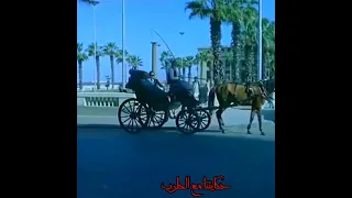 الإسكندرية عام      بحر أبو جريشة   وحداني دندنها