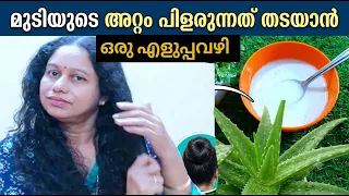 മുടിയുടെ അറ്റം പിളരുന്നത് തടയാൻ 100% പരിഹാരം Split Ends Home Remedies in Malayalam
