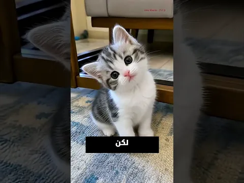 شوفو الراجل حصله إيه لما نزل في الحفرة 😮😮😮😮😮