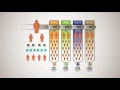 Ambit Energy Compensation Plan Why Ambit Works Ambit Energy How to Get Paid wit Ambit 2019
