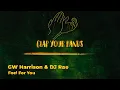 GW Harrison & DJ Rae - Feel For You