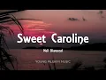 Neil Diamond - Sweet Caroline (Lyrics)