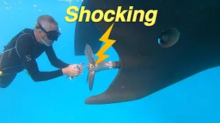 Aluminum Sailboat Pt 18 – Shore Power SAFETY and ELECTRICITY on Boats