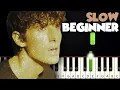 Golden Hour - JVKE | SLOW BEGINNER PIANO TUTORIAL + SHEET MUSIC by Betacustic