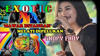 Download ECOTIC - MAWAR DITANGAN MELATI DIPELUKAN Miss Shopy Ehoyyy MP3