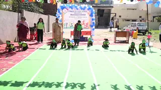 Turtle Race Playgroup Kids Kindergarten races Ideas Kinder Joy Play School