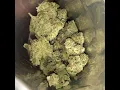 Banana Puddintain Hybrid Medical Cannabis Flower