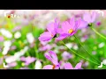 Bigay Ka Ng Maykapal ( Lyrics)