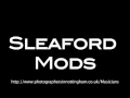Sleaford Mods Double Diamond Spectre 2011 by James Turner Photography