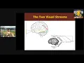 Article Review A proposed reconciliation of ecological info process theories of perception-action