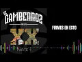 GZ GAMBERROZ  - FIRMES EN ESTO